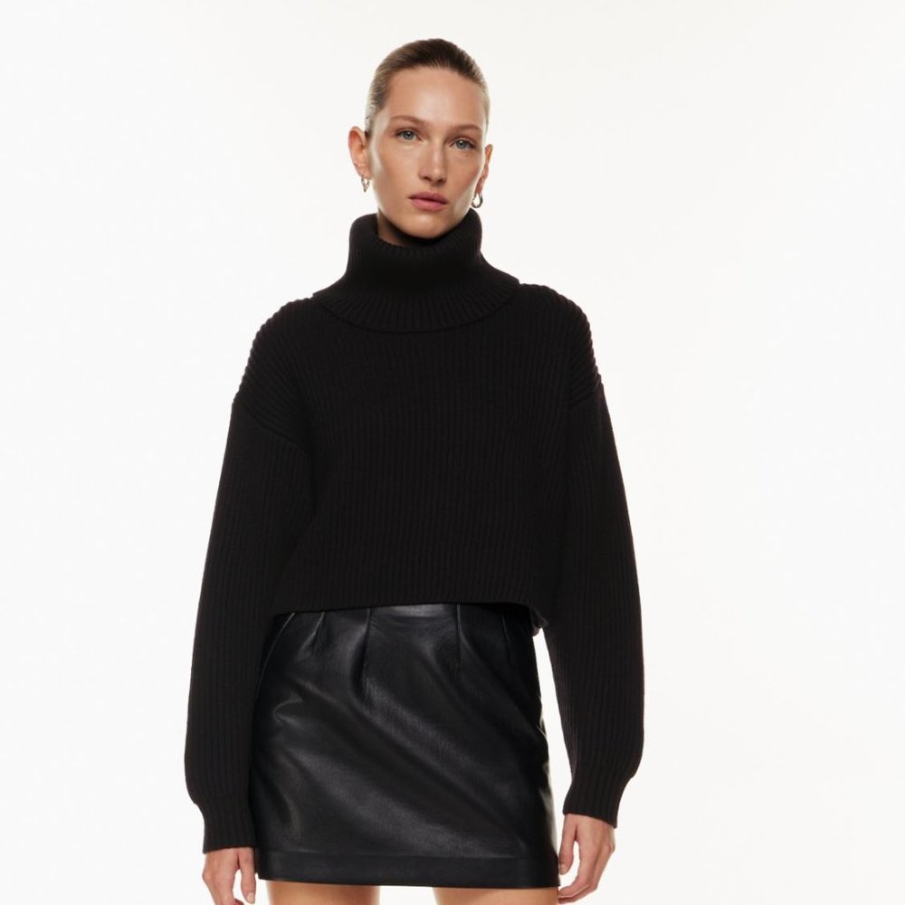ARITZIA BABATON CROPPED GUELL SWEATER